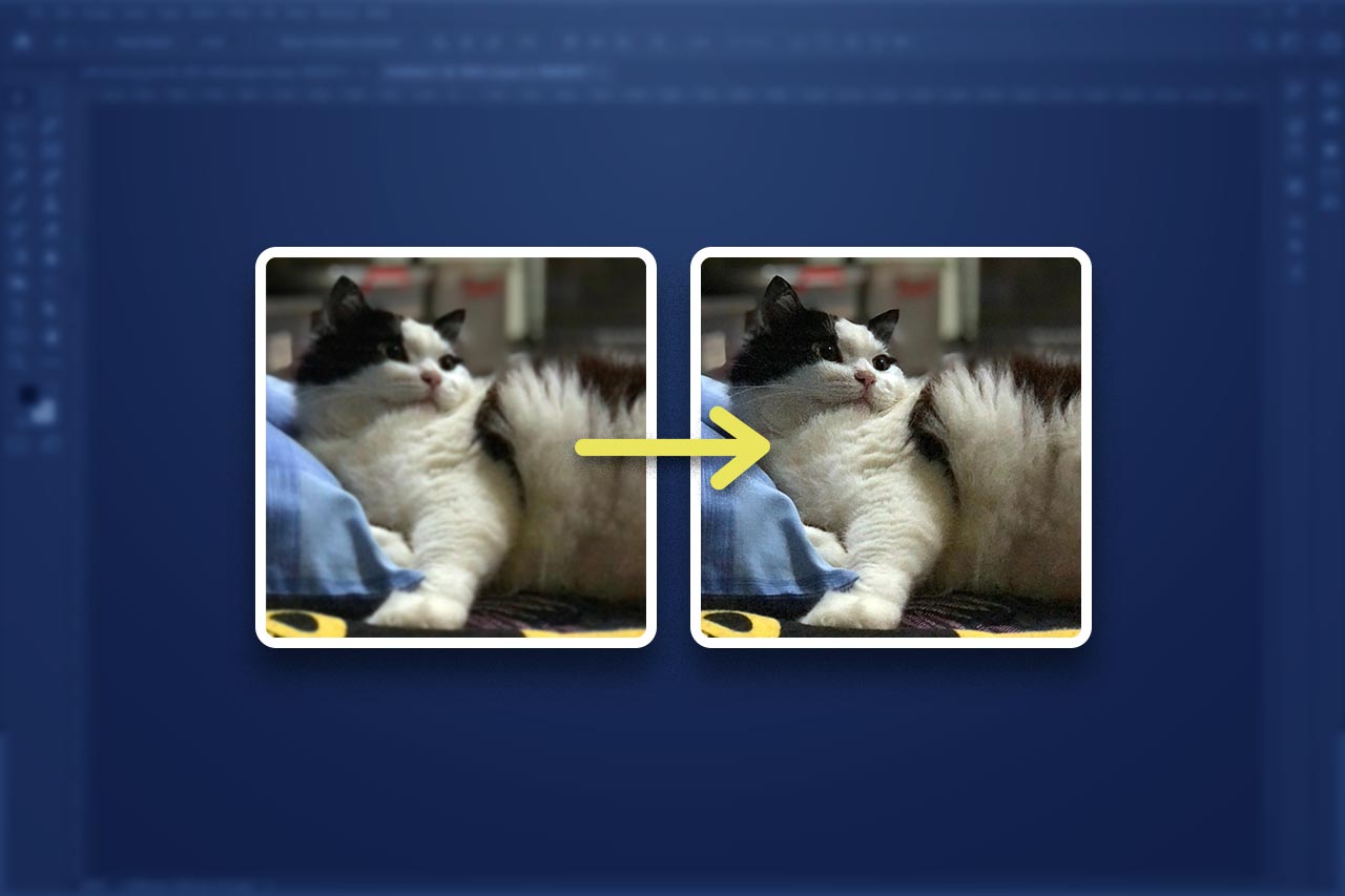 Cara Menghilangkan Blur Pada Foto. Cara Mempertajam Foto di Photoshop & Gambar Tetap Terlihat Wajar