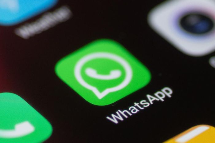 Cara Mengembalikan Media Whatsapp Yang Terhapus. 5 Cara Mengembalikan Foto yang Terhapus di WhatsApp