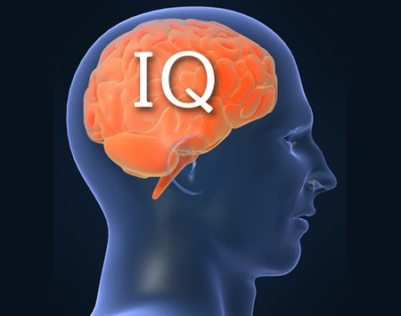 Tes Kecerdasan Online Gratis. Link Tes IQ GRATIS dan Mudah Ada di Sini, Hasil Skor IQ Langsung Muncul!