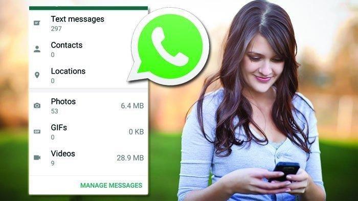 Wa Yang Bisa Melihat Status Yang Sudah Dihapus. Cara Melihat Status WhatsApp yang Sudah Dihapus, Tak Perlu Aplikasi Tambahan
