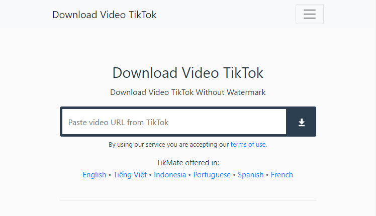 Save Video Tiktok Tanpa Watermark. Tiktok Downloader, Download Video TikTok no Watermark by TikMate